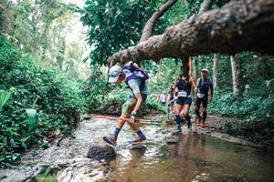 BIB: 
                            <button type="button" onclick="openModal(25369540)" class="btn btn-primary btn-sm float-right btn-popup" data-toggle="modal" data-target=".modal-high-quality">
                        <i class="fas fa-shopping-cart"></i> Add to Cart
                    </button>
                                            <button type="button" onclick="isThisMe(25369540, true)" class="btn btn-success btn-sm float-right btn-popup btn-isme hidden" data-toggle="tooltip" data-placement="bottom" title="นี่คือรูปของคุณใช่ไหม คลิกที่นี่เพื่อเอาเข้าอัลบั้ม">
                        <i class="fas fa-plus"></i> Add to album
                    </button>
                    <button type="button" onclick="isThisMe(25369540, false)" class="btn btn-warning btn-sm float-right btn-popup btn-isnotme hidden">
                        <i class="fas fa-ban"></i> Remove from album
                    </button>